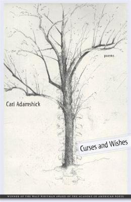 Curses and Wishes