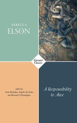 A Responsibility to Awe Elson