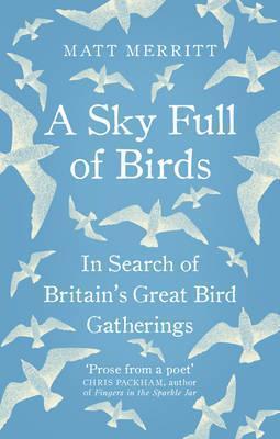 A Sky Full of Birds SP