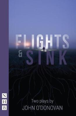 Flights and Sink