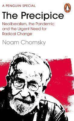 The Precipice: Neoliberalism, the Pandemic and the Urgent Need to Social Change