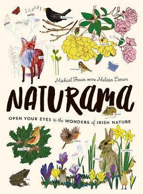 Naturama: Open Your Eyes to the Wonders