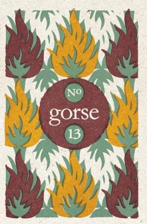 Gorse No 13 by 