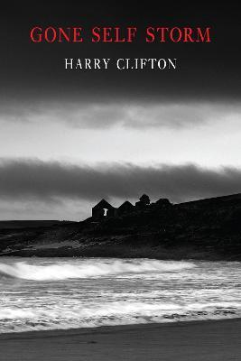 Gone Self Storm by 