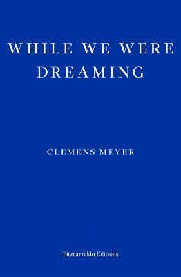 While We Were Dreaming by 